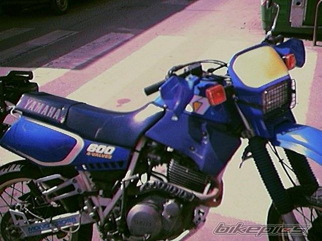 Photo 31836