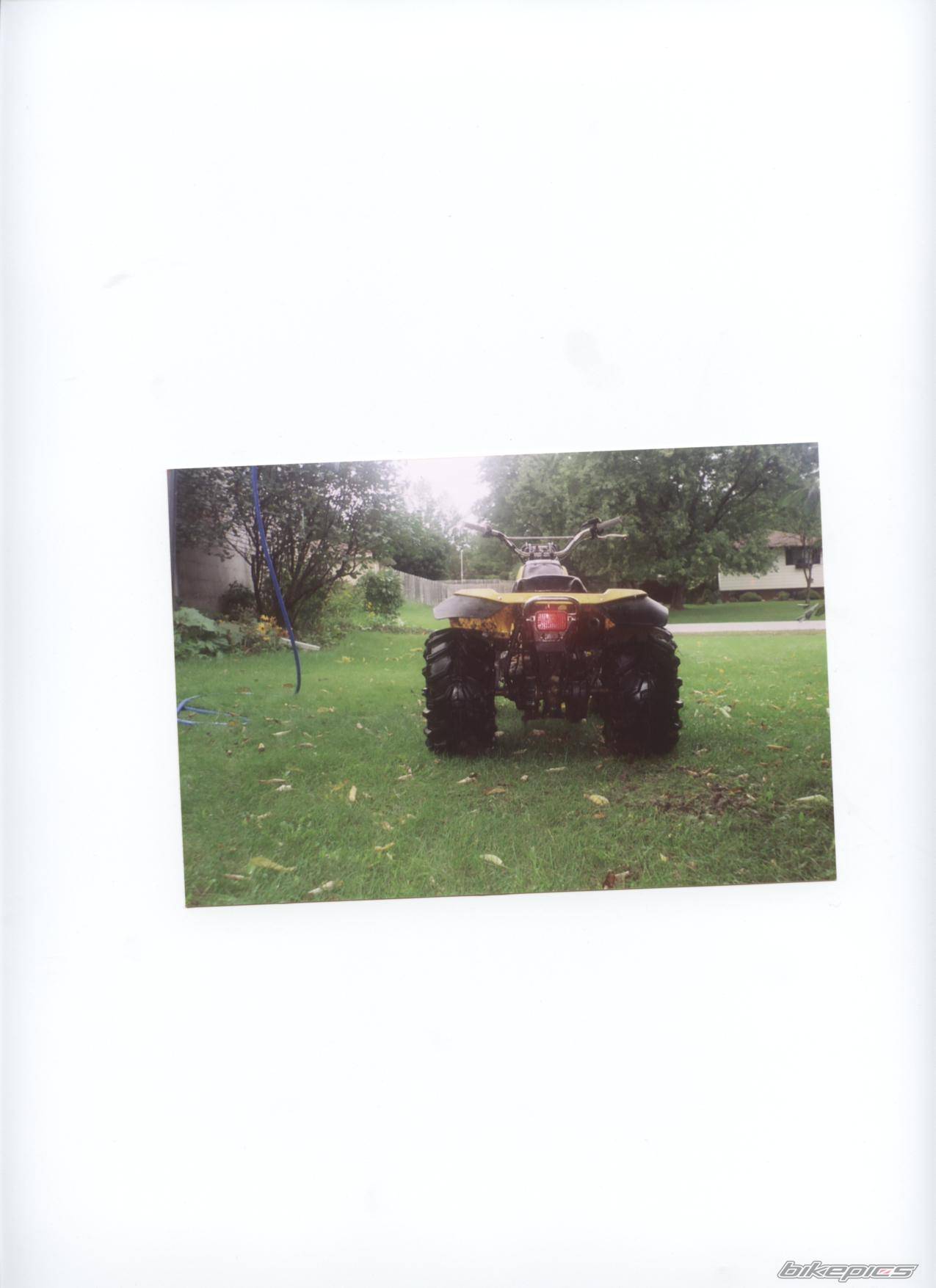 Photo 318360