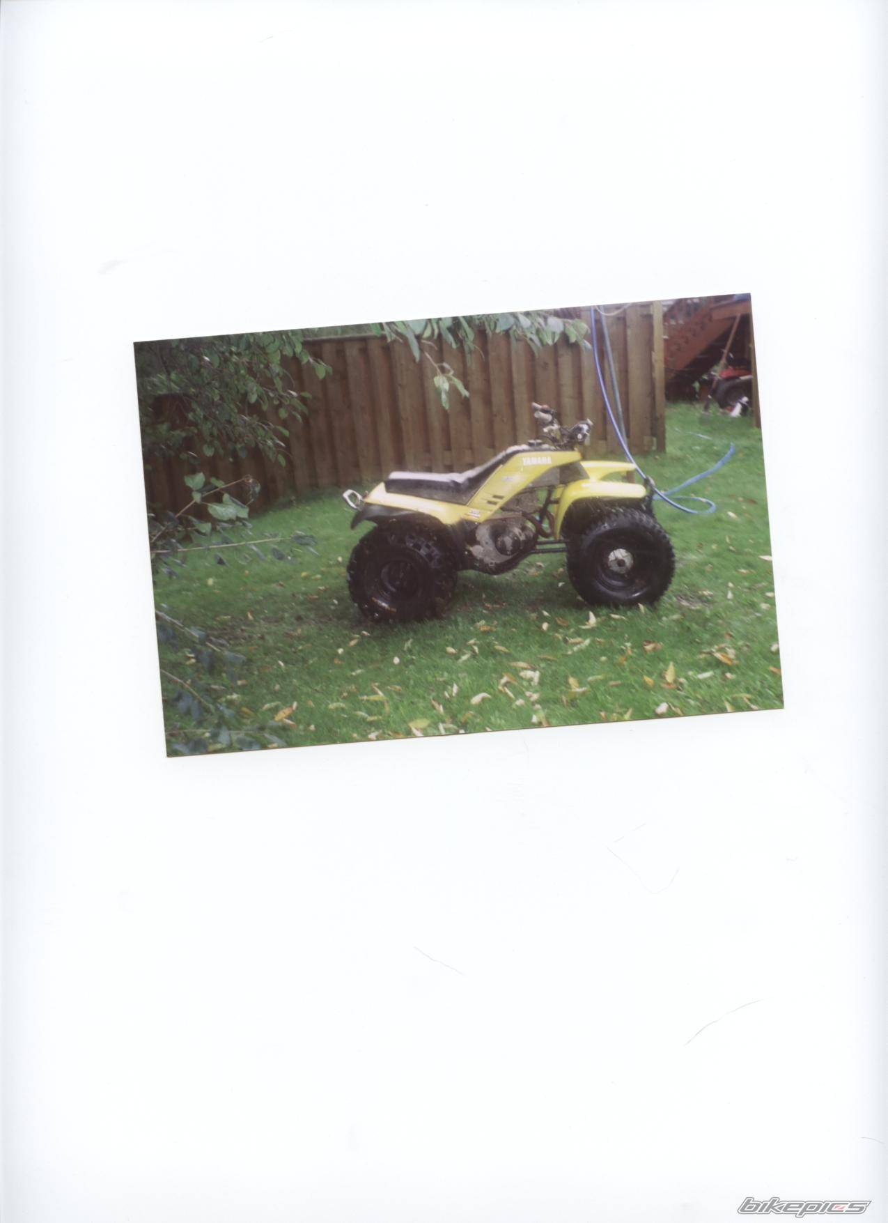 Photo 318361