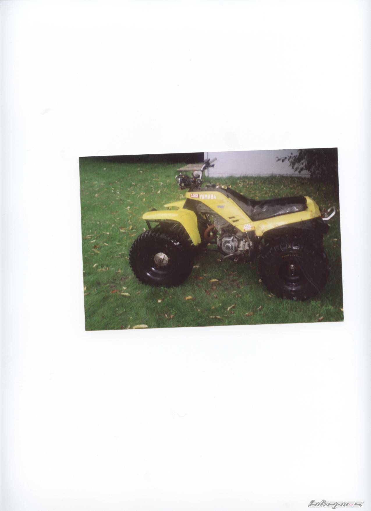 Photo 318362