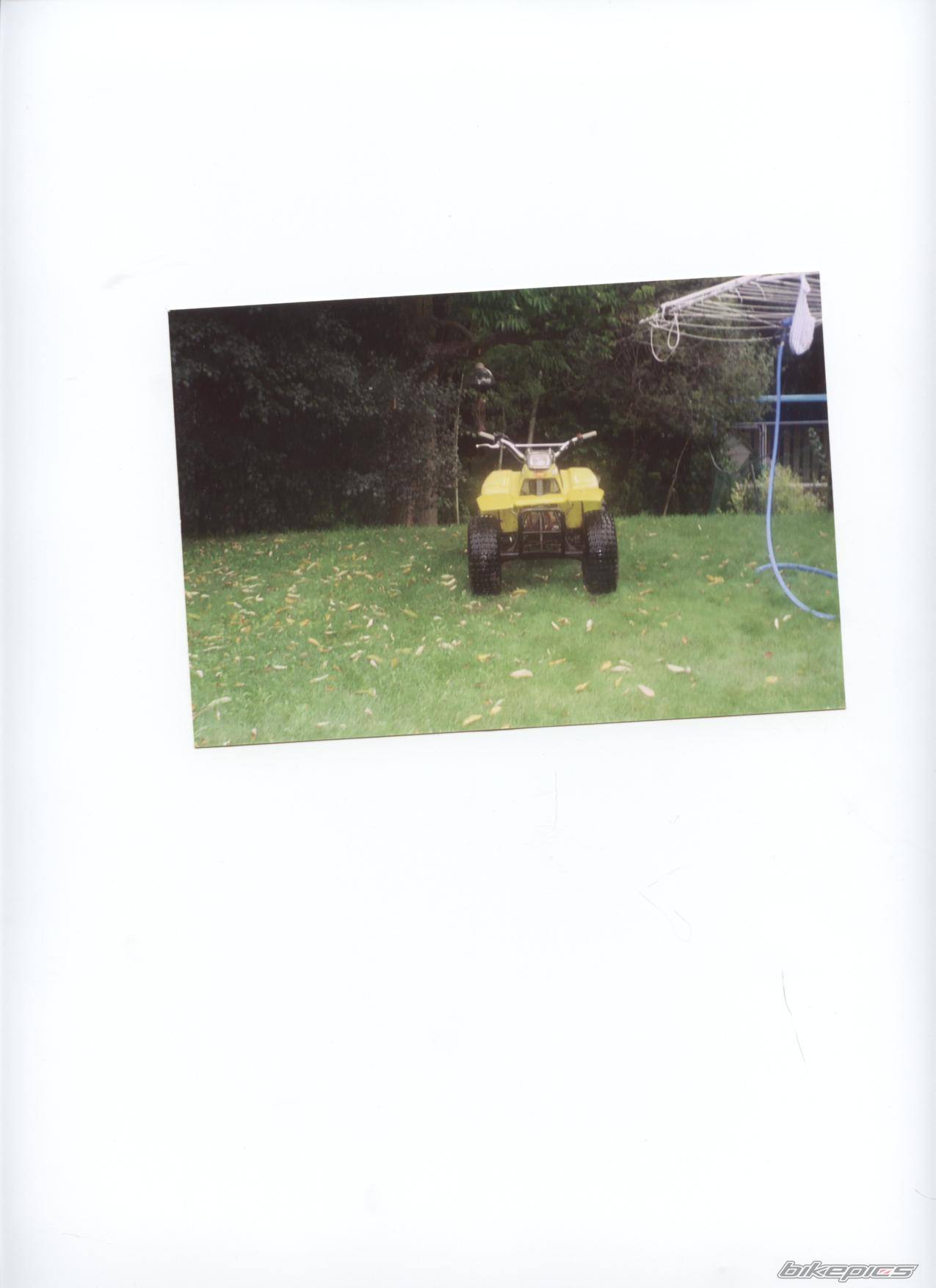 Photo 318363