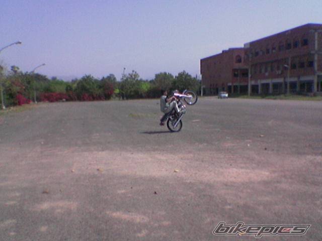 Photo 318378