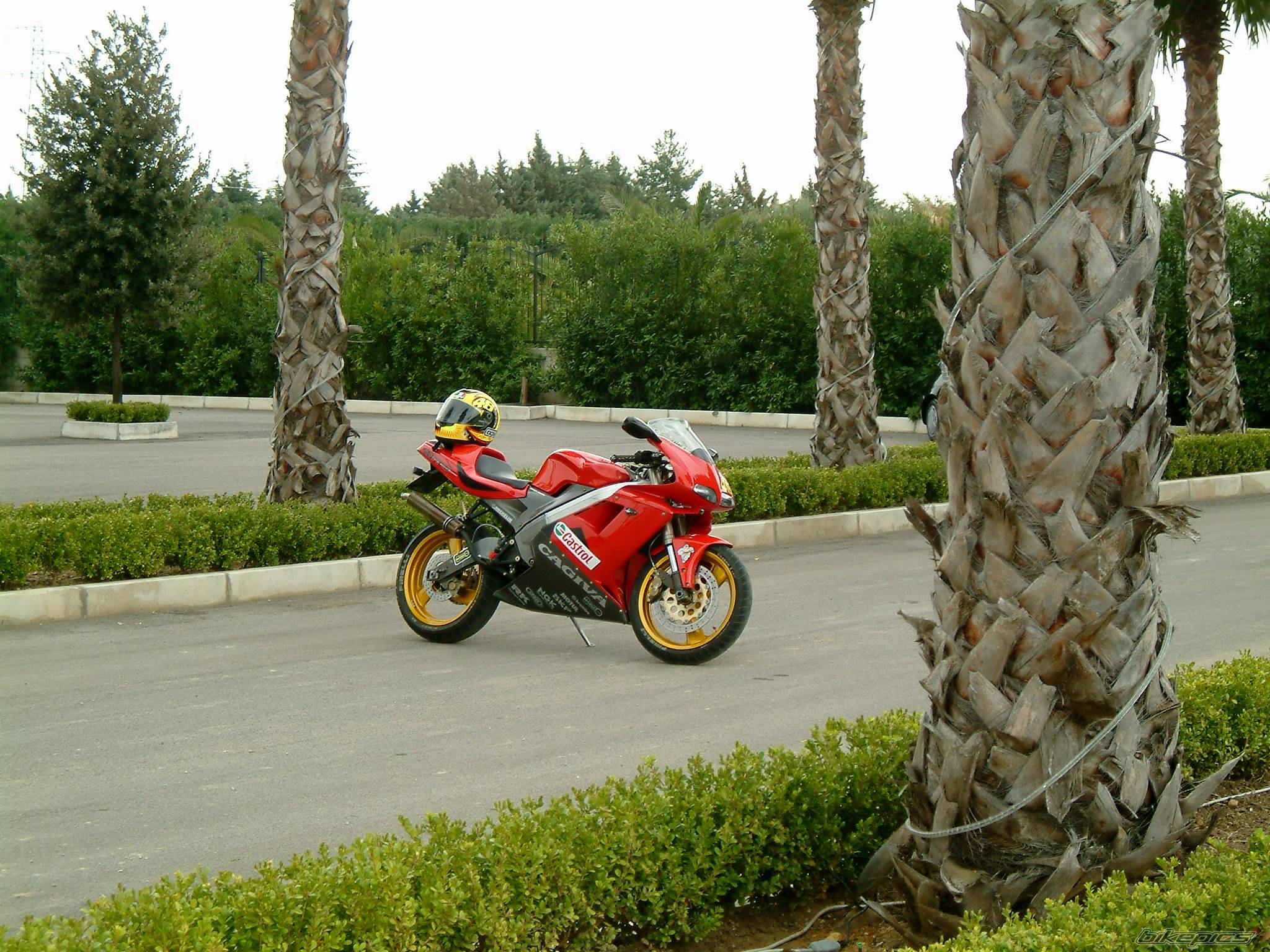 Bike Photo 318479