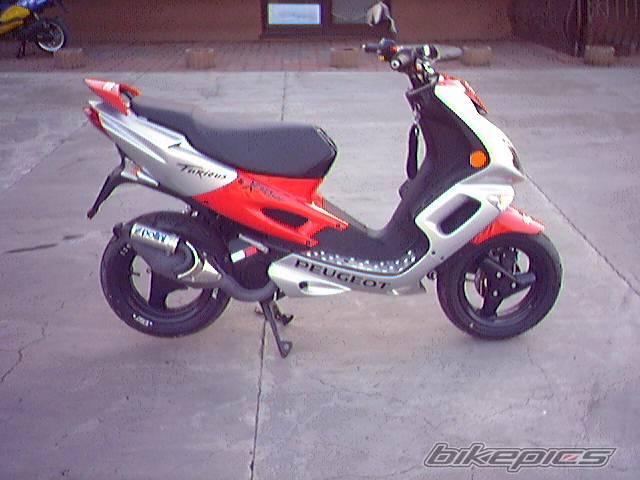 Bike Photo 318539
