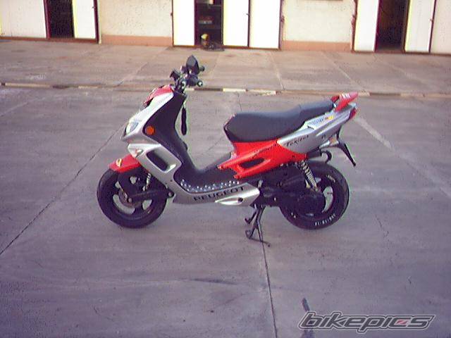 Bike Photo 318543