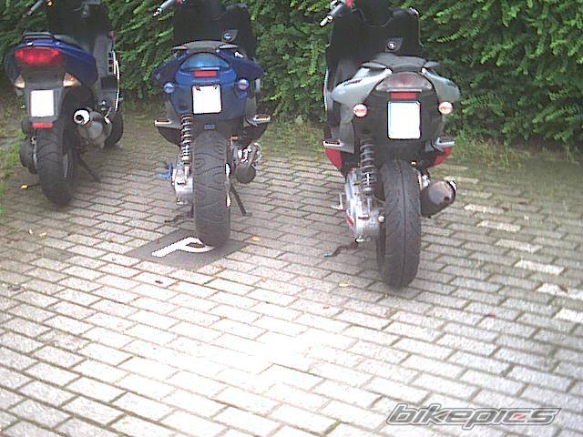 Photo 31855