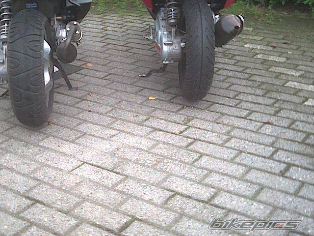 Photo 31856