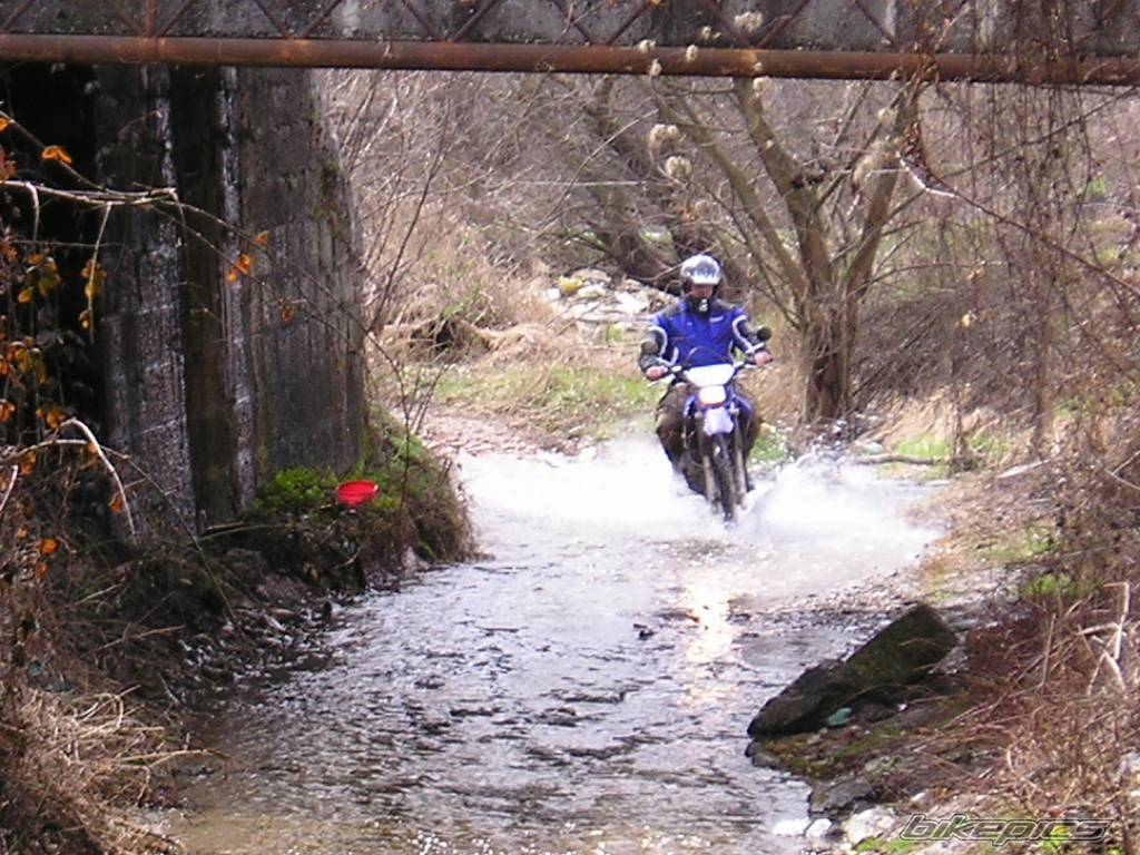 Bike Photo 318561