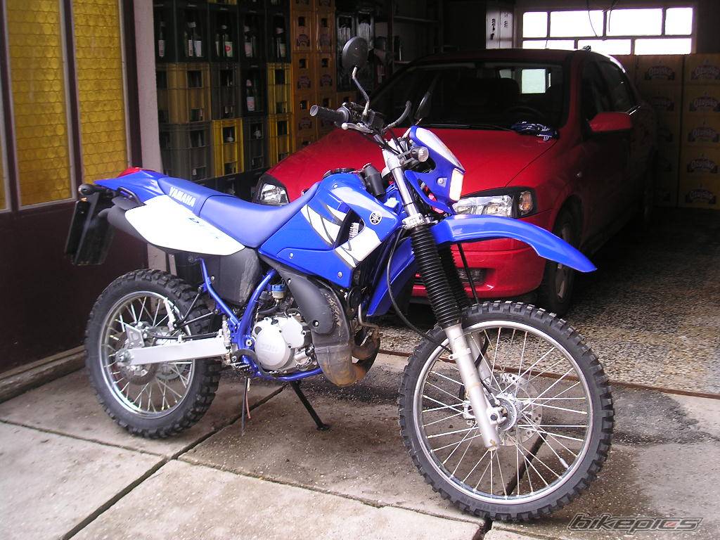 Photo 318577