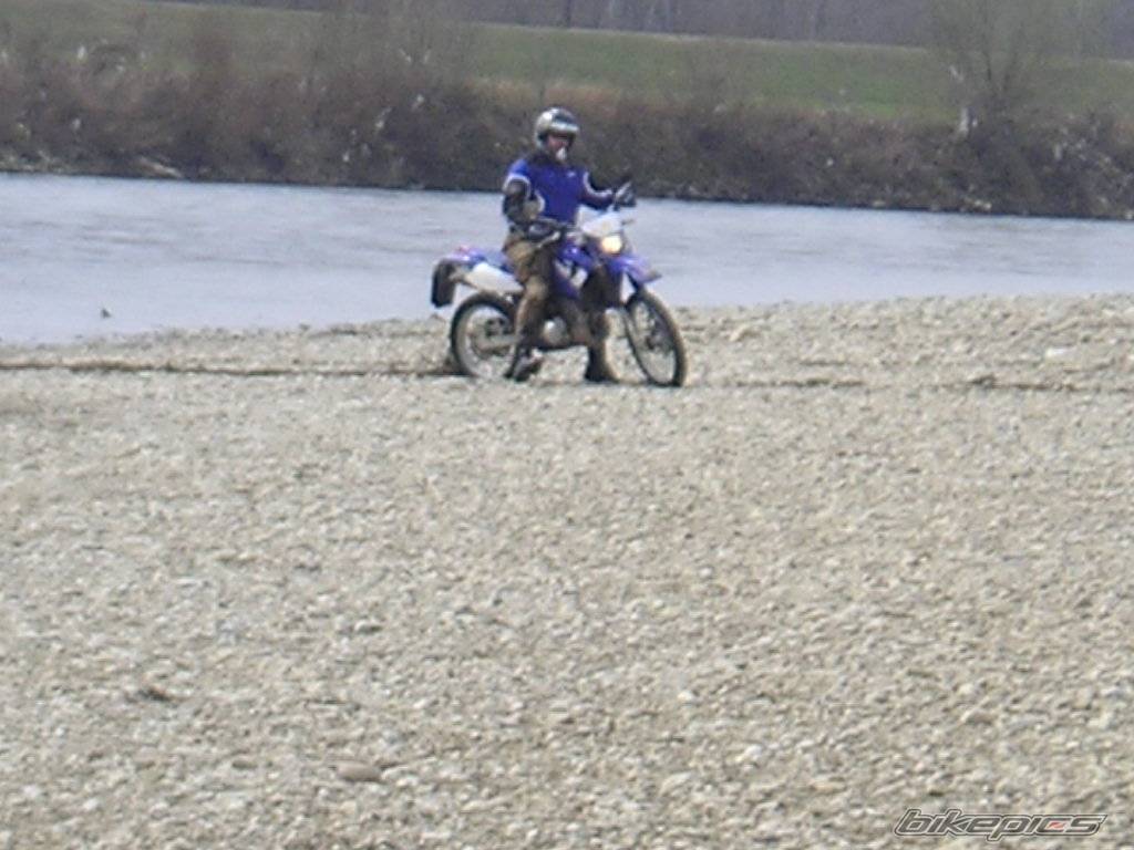 Bike Photo 318581