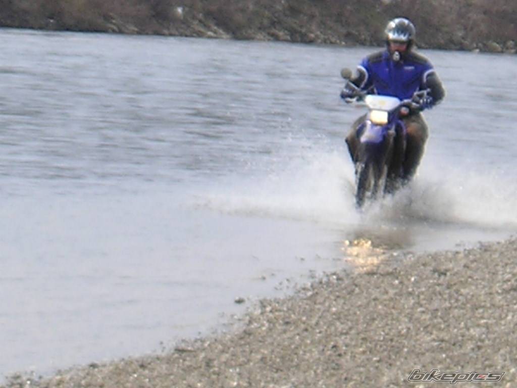 Bike Photo 318582