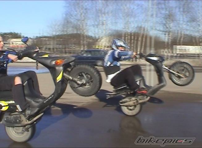 Photo 318634