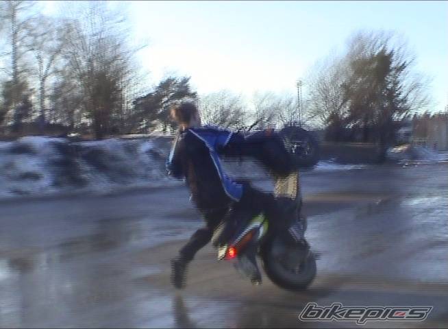 Photo 318639