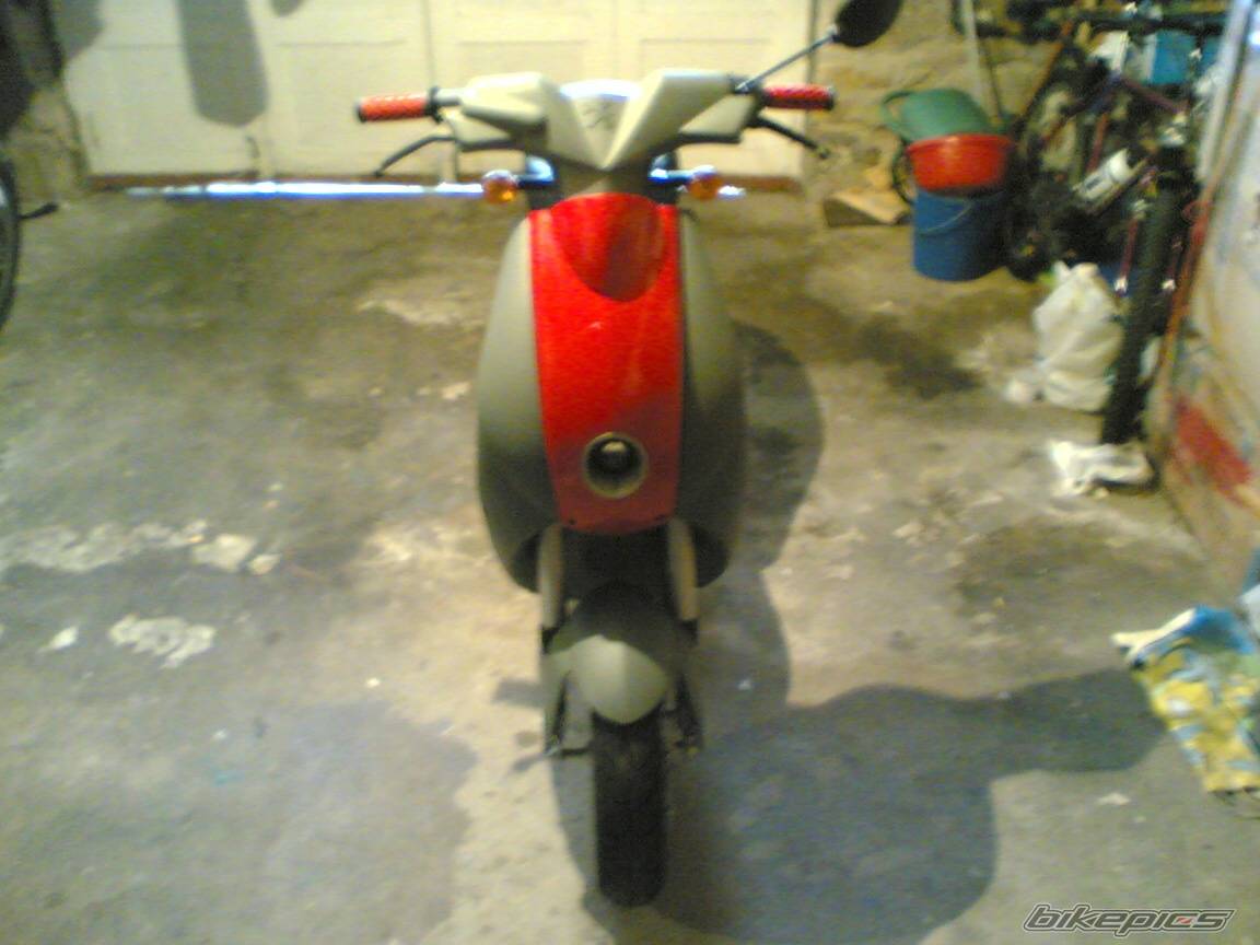 Photo 318682