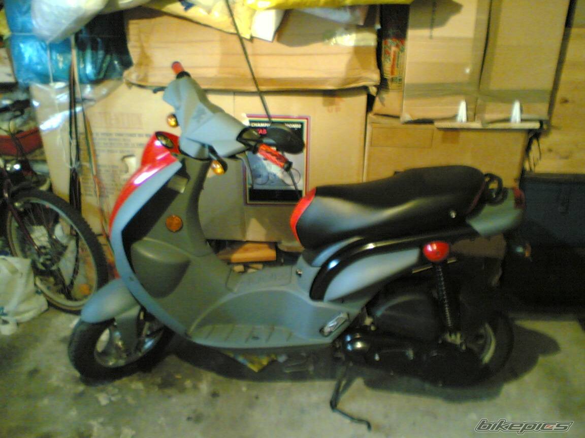 Photo 318704