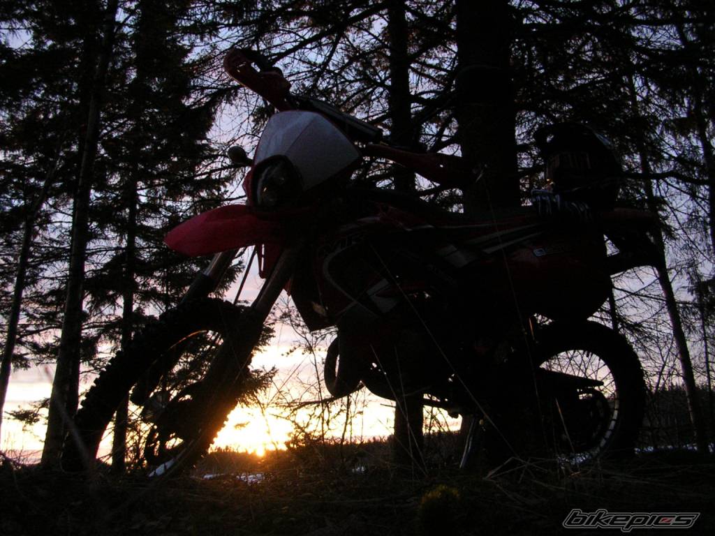 Photo 318733