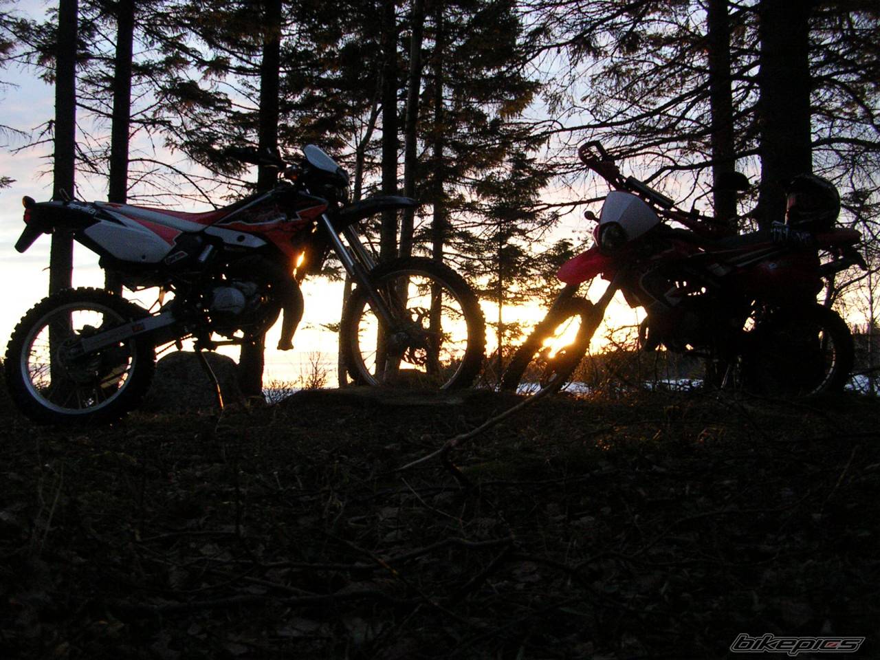 Photo 318741