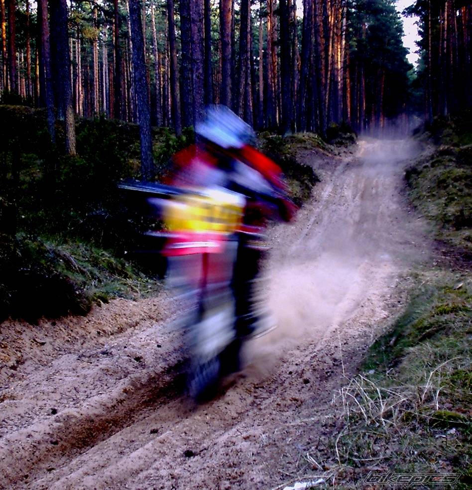 Bike Photo 318750