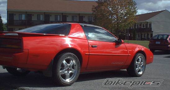 Photo 31878