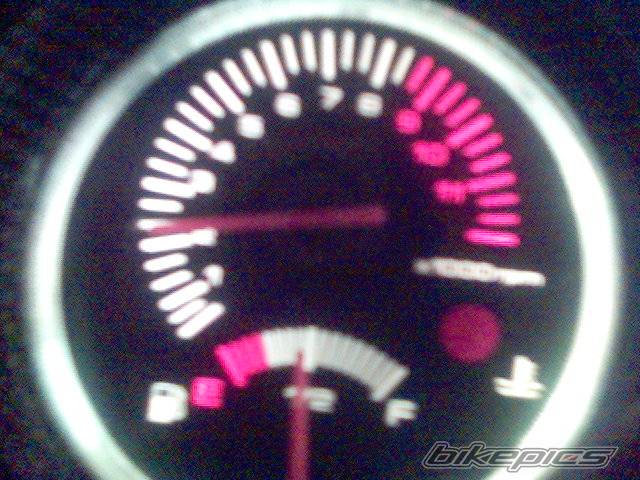 Photo 318938