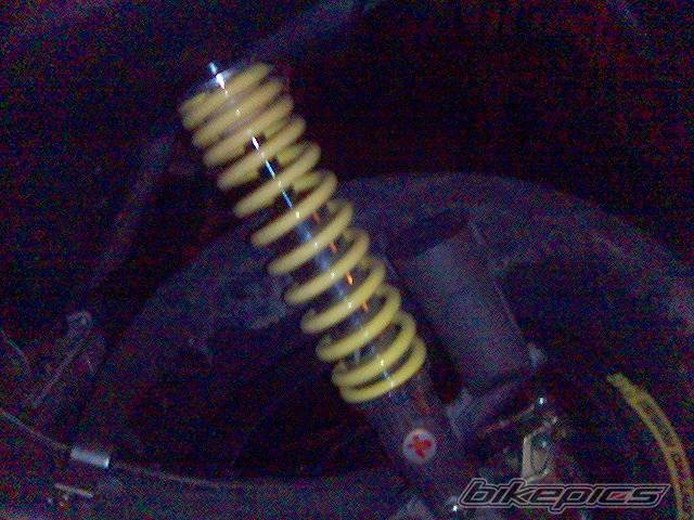 Photo 318940