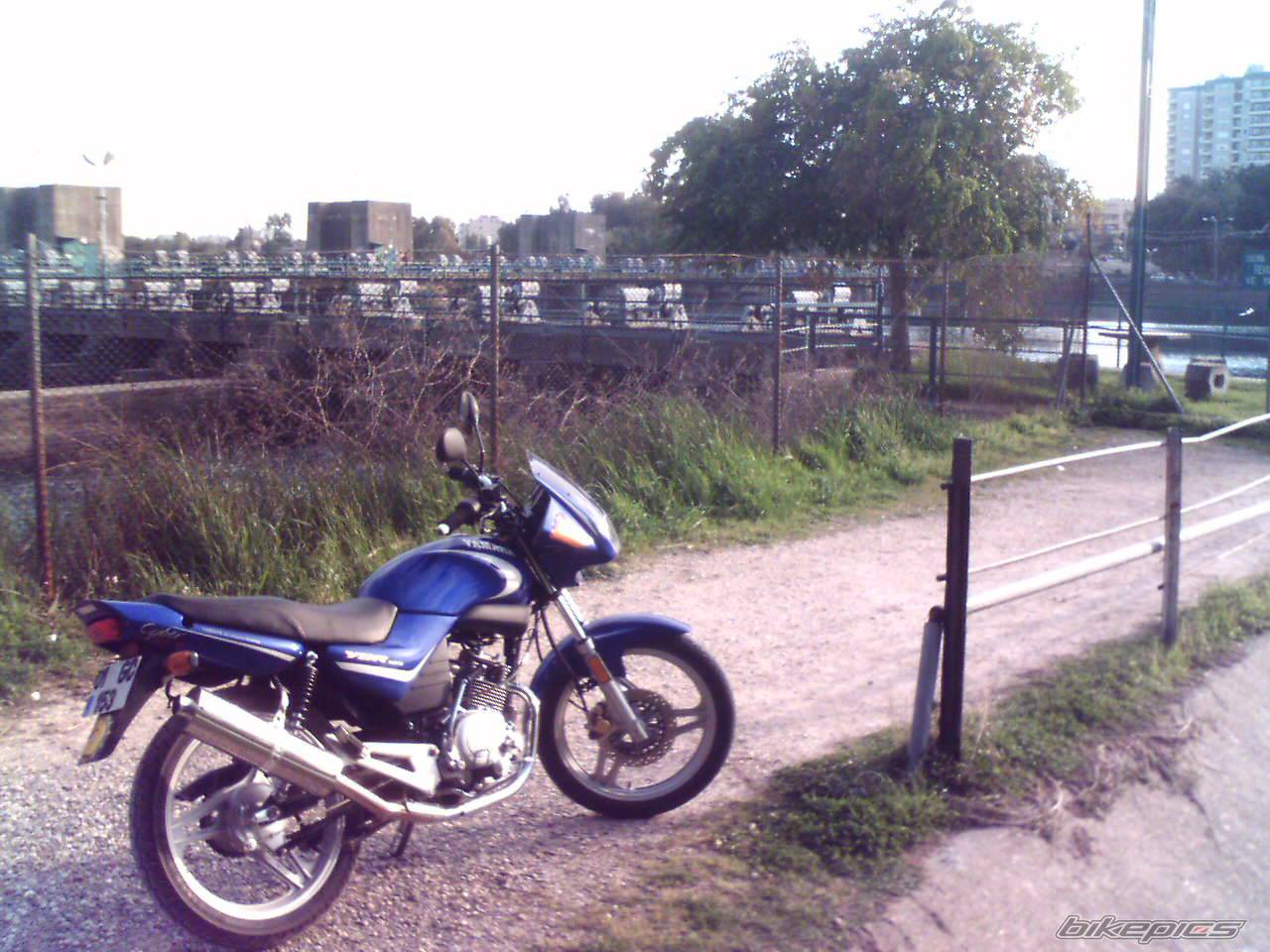 Photo 319183