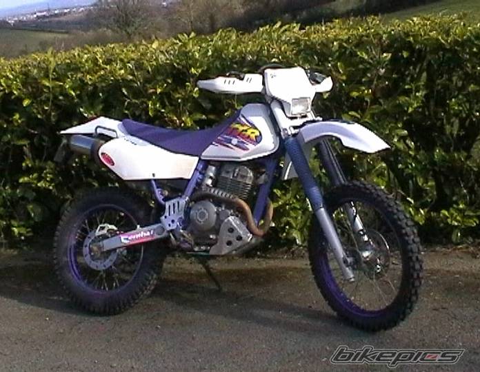 Bike Photo 319186