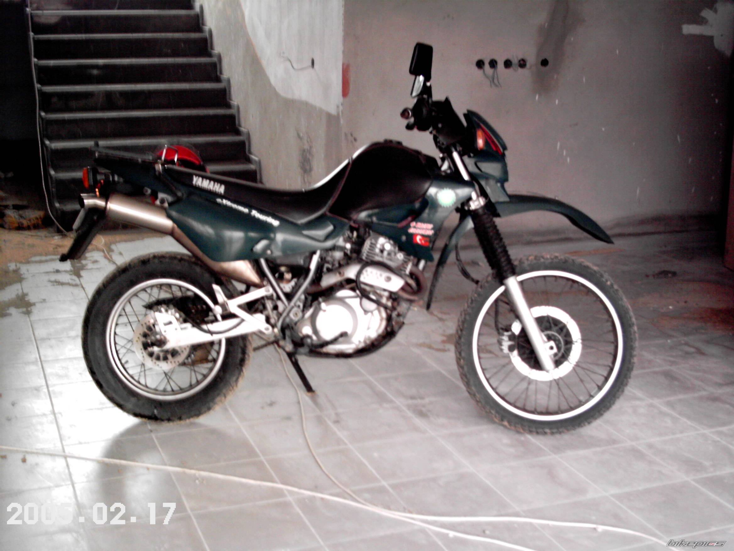 Photo 319192