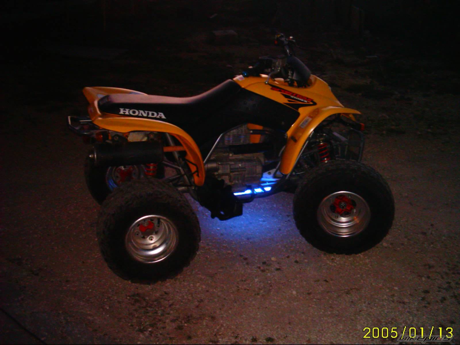 Photo 319234