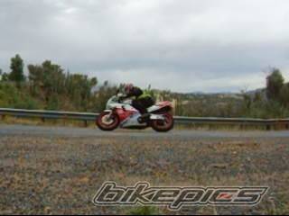 Photo 319252