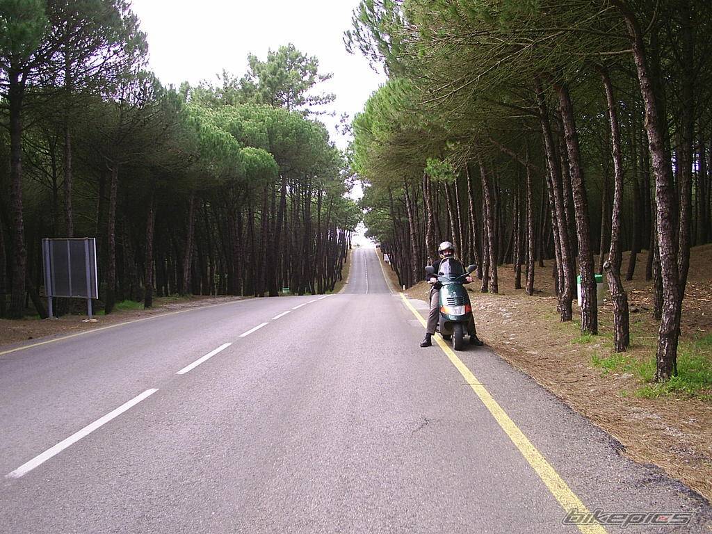 Bike Photo 319283