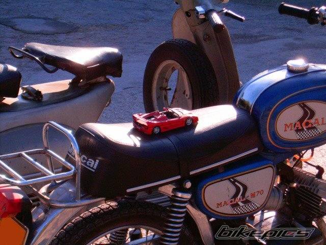 Photo 319328
