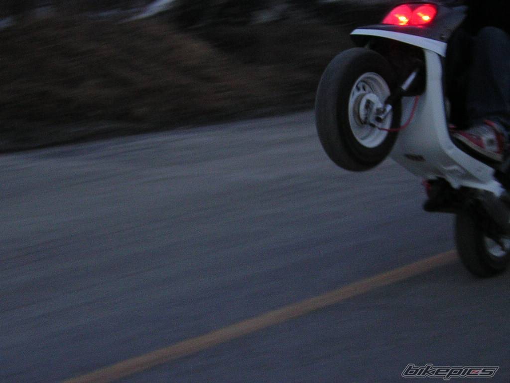 Photo 319378