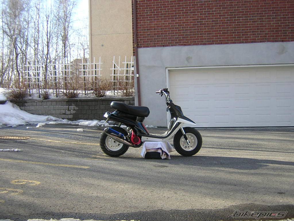 Photo 319379