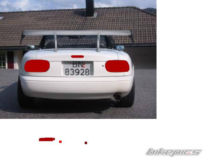 Photo 319388