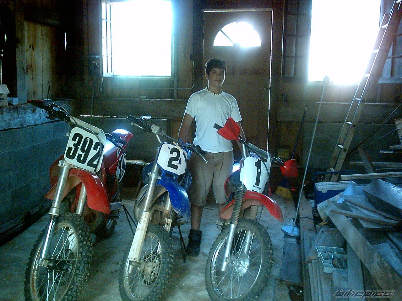 Photo 319397