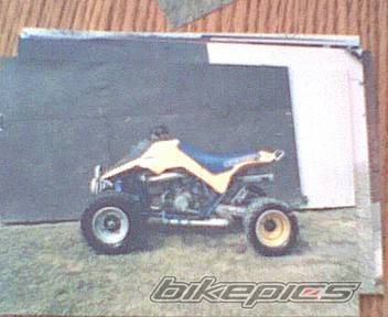 Photo 31949