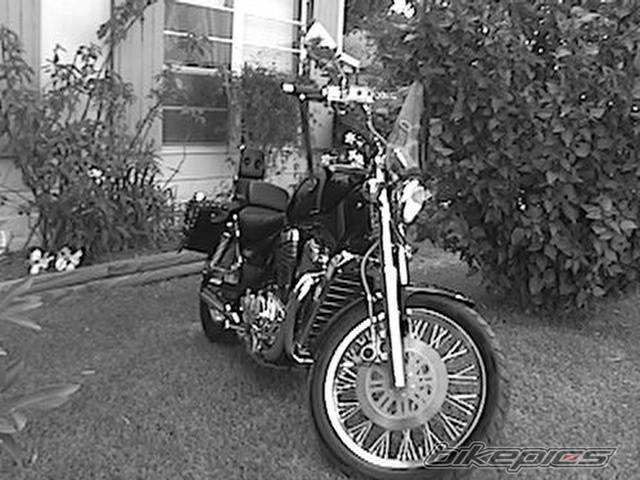 Photo 31951