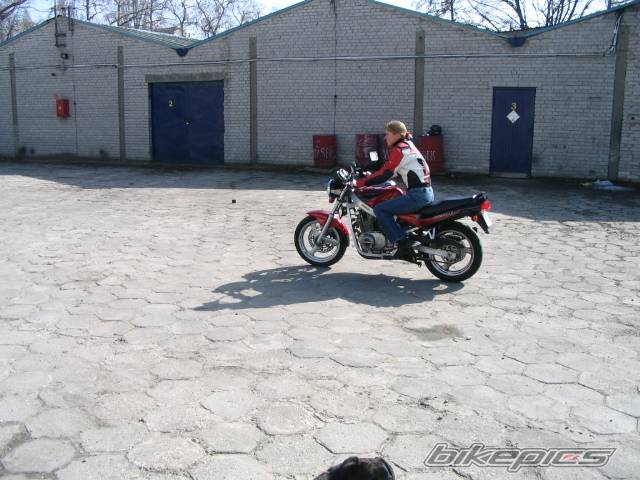 Photo 319597
