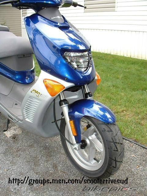 Photo 319638
