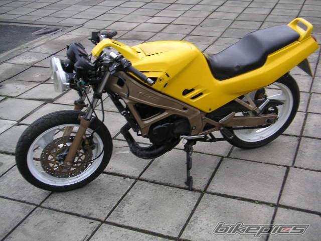 Photo 319673