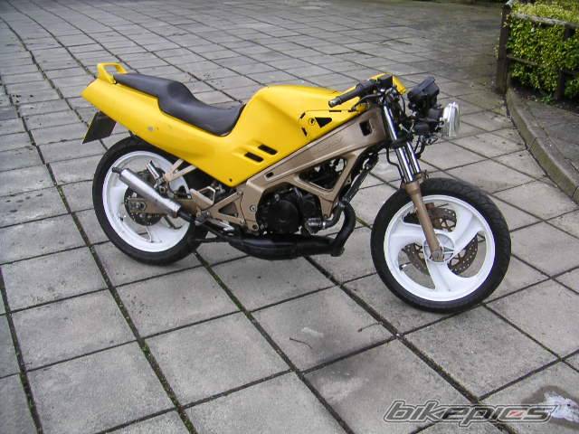 Photo 319677