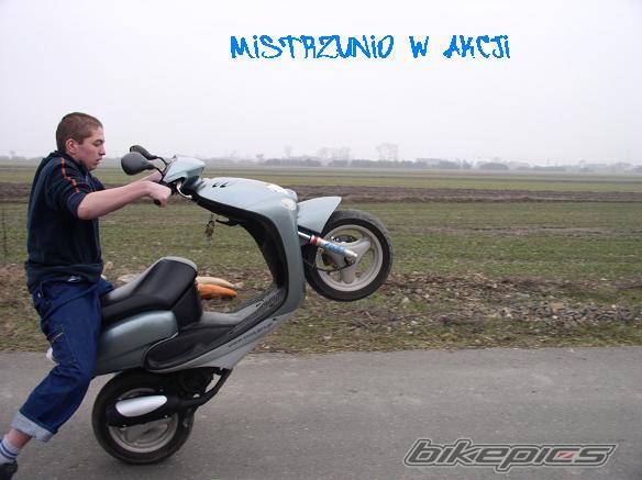 Photo 319679
