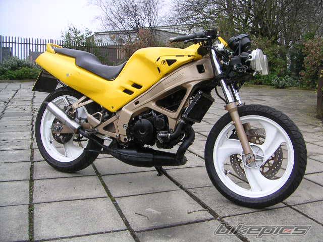 Photo 319680