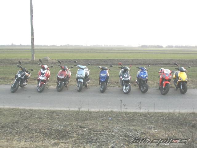Photo 319688