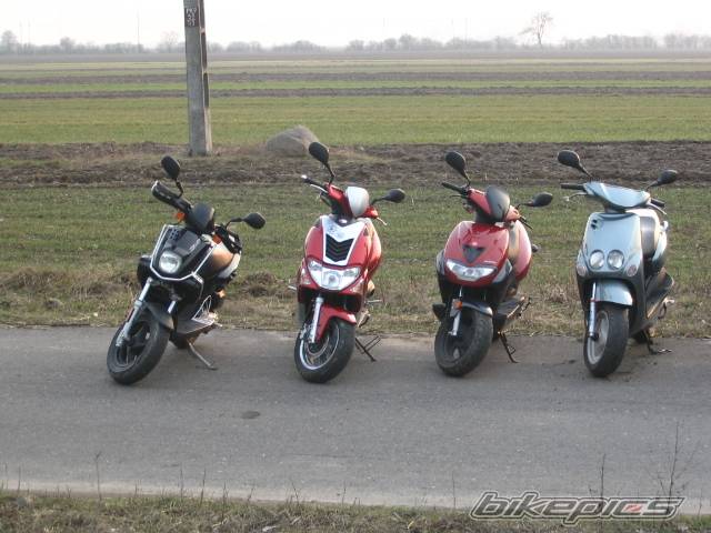 Photo 319692