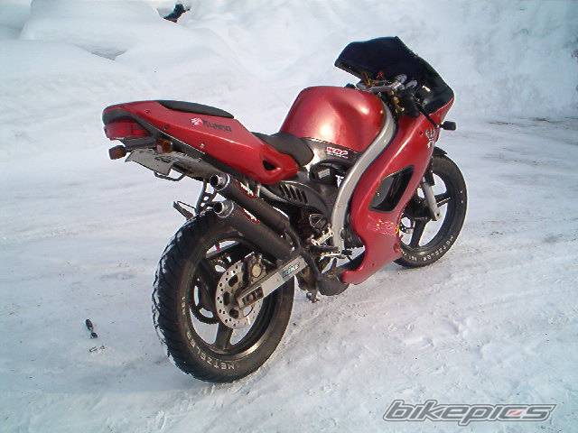 Photo 319701