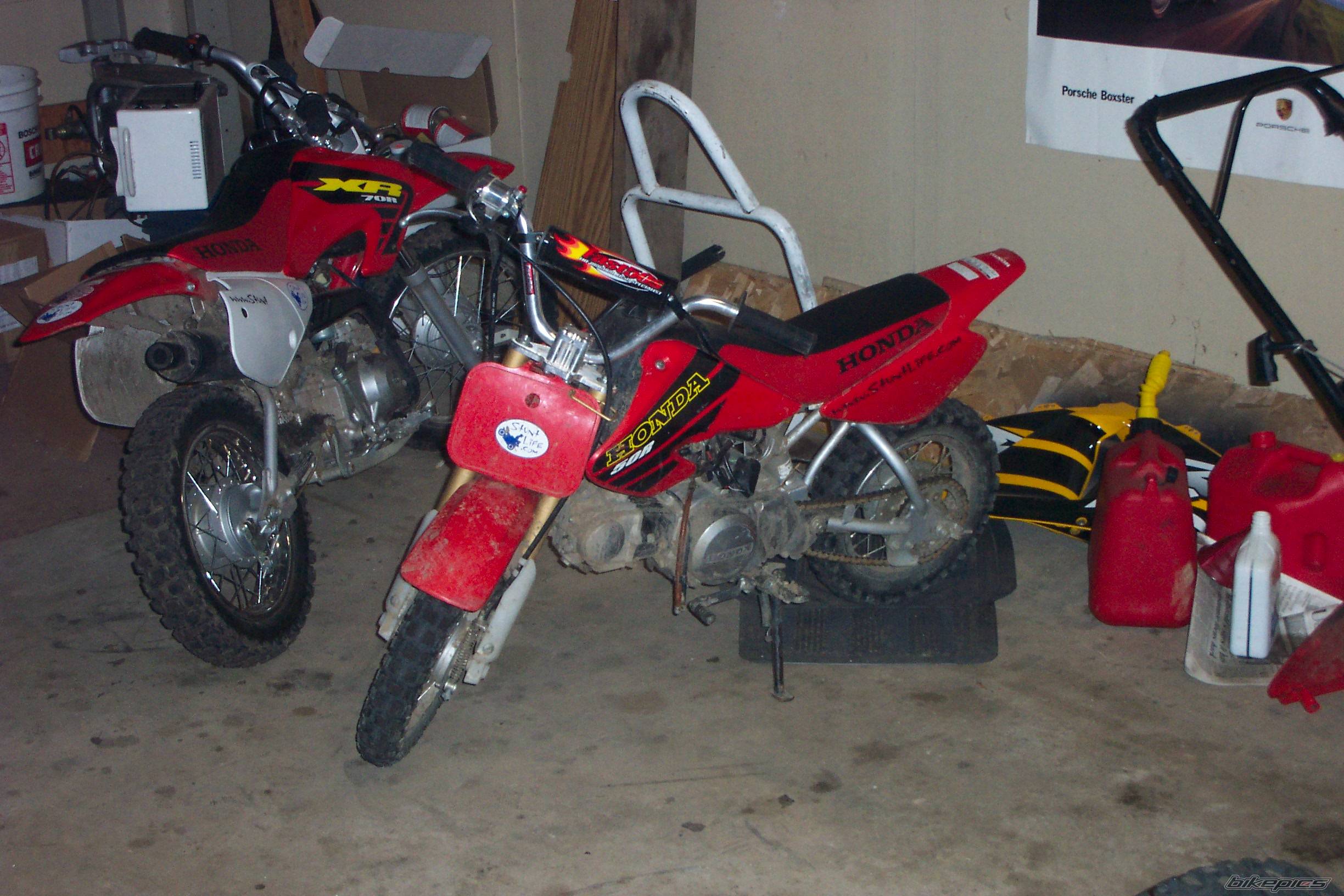 Photo 319715