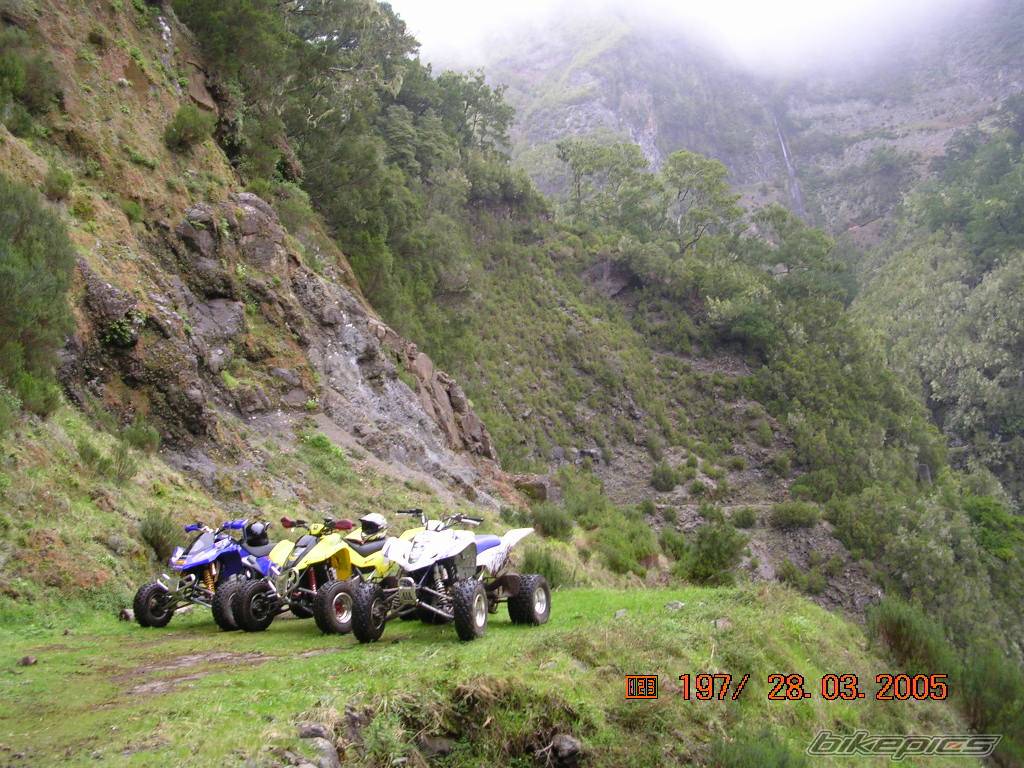 Bike Photo 319732