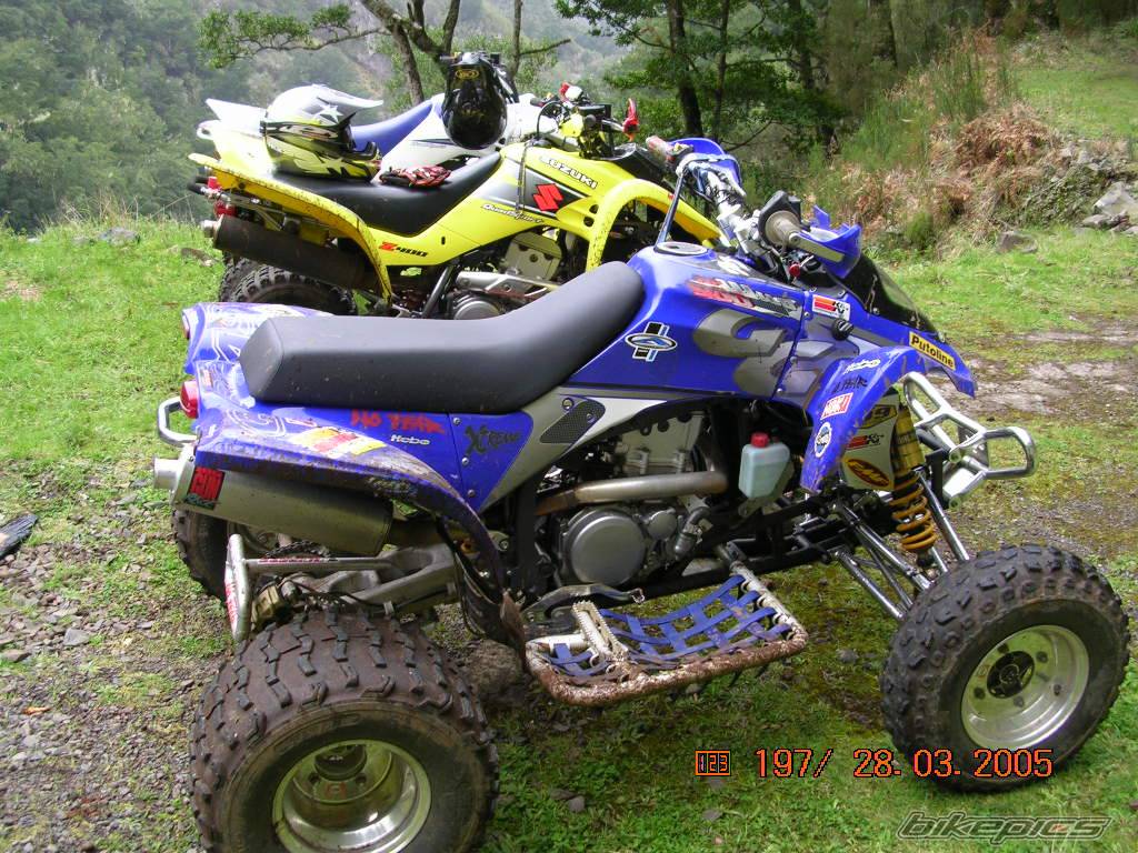 Photo 319745
